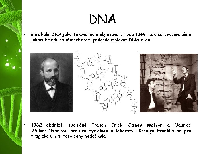 DNA • molekula DNA jako taková byla objevena v roce 1869, kdy se švýcarskému