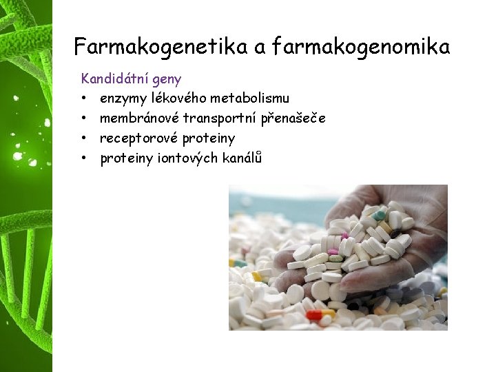 Farmakogenetika a farmakogenomika Kandidátní geny • enzymy lékového metabolismu • membránové transportní přenašeče •