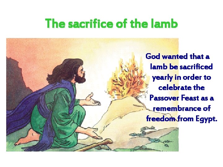 The sacrifice of the lamb God wanted that a lamb be sacrificed yearly in