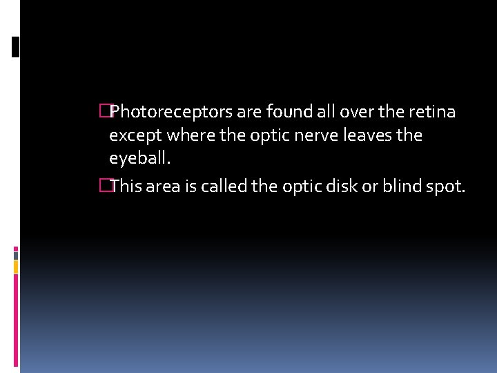 �Photoreceptors are found all over the retina except where the optic nerve leaves the