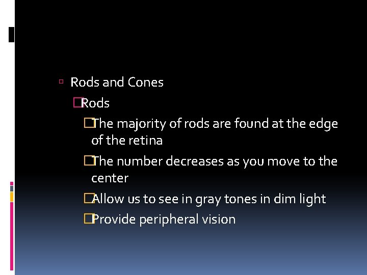  Rods and Cones �Rods �The majority of rods are found at the edge