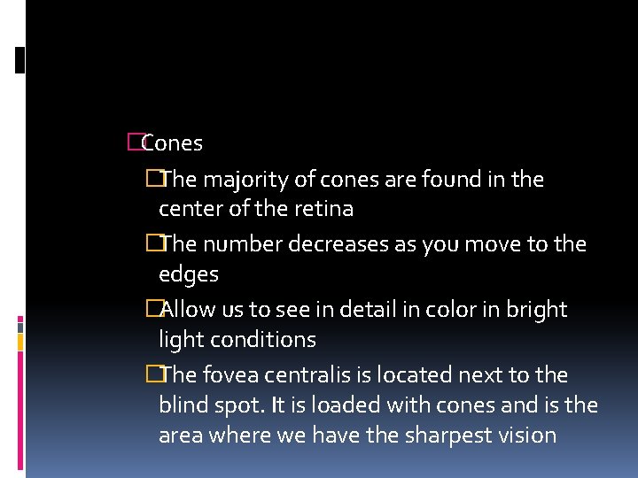 �Cones �The majority of cones are found in the center of the retina �The