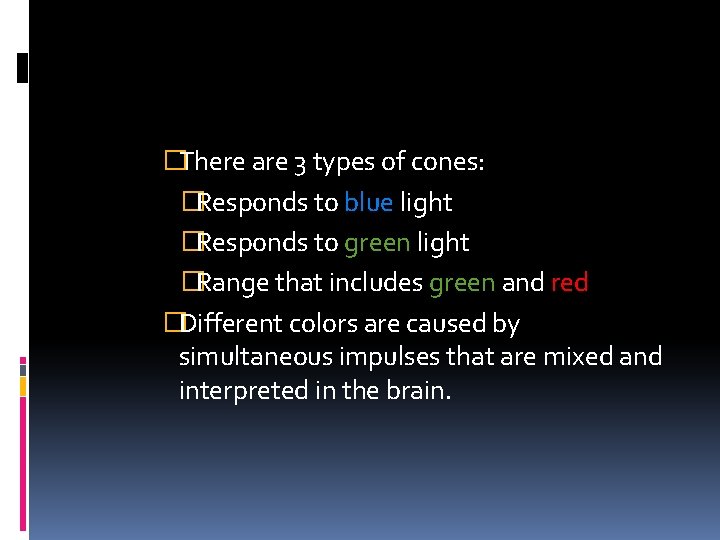 �There are 3 types of cones: �Responds to blue light �Responds to green light