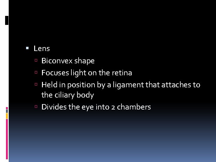  Lens Biconvex shape Focuses light on the retina Held in position by a