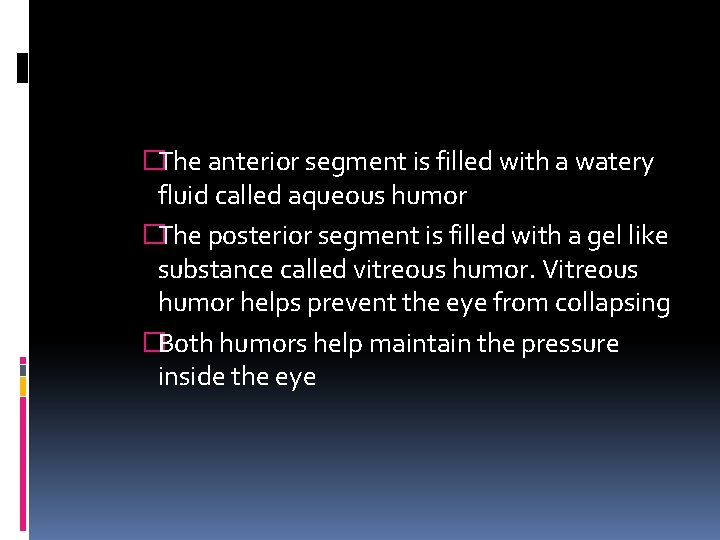 �The anterior segment is filled with a watery fluid called aqueous humor �The posterior