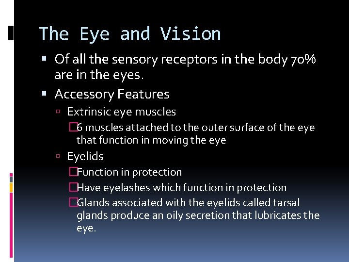 The Eye and Vision Of all the sensory receptors in the body 70% are