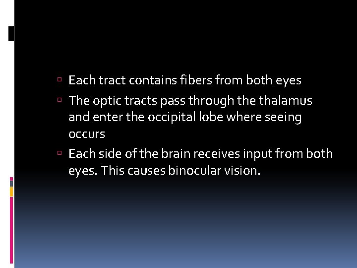  Each tract contains fibers from both eyes The optic tracts pass through the