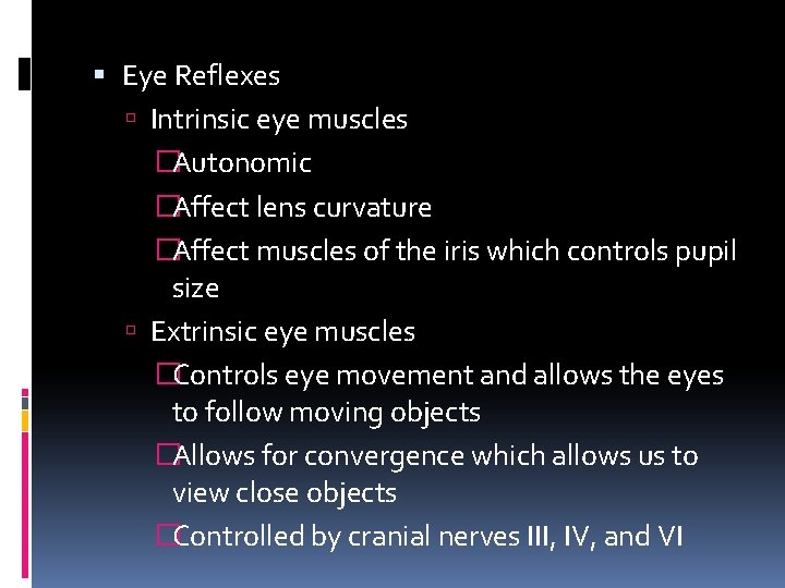  Eye Reflexes Intrinsic eye muscles �Autonomic �Affect lens curvature �Affect muscles of the