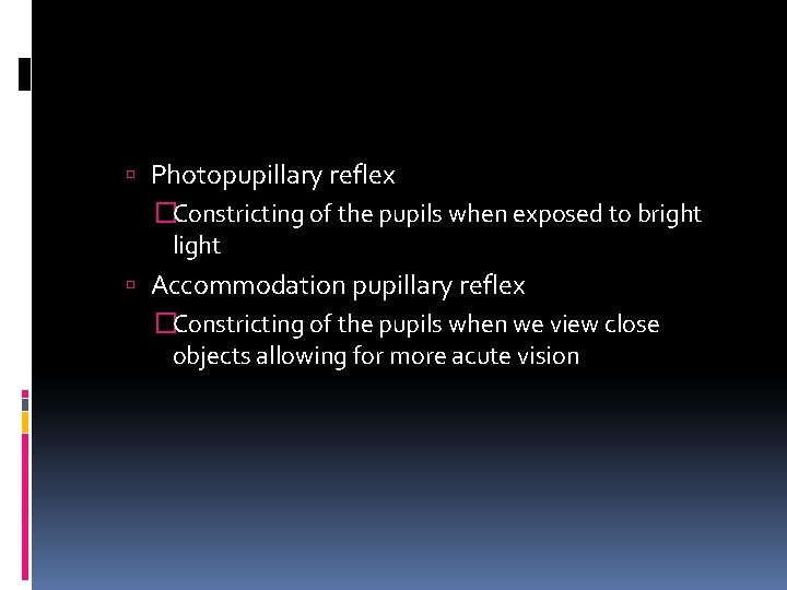  Photopupillary reflex �Constricting of the pupils when exposed to bright light Accommodation pupillary