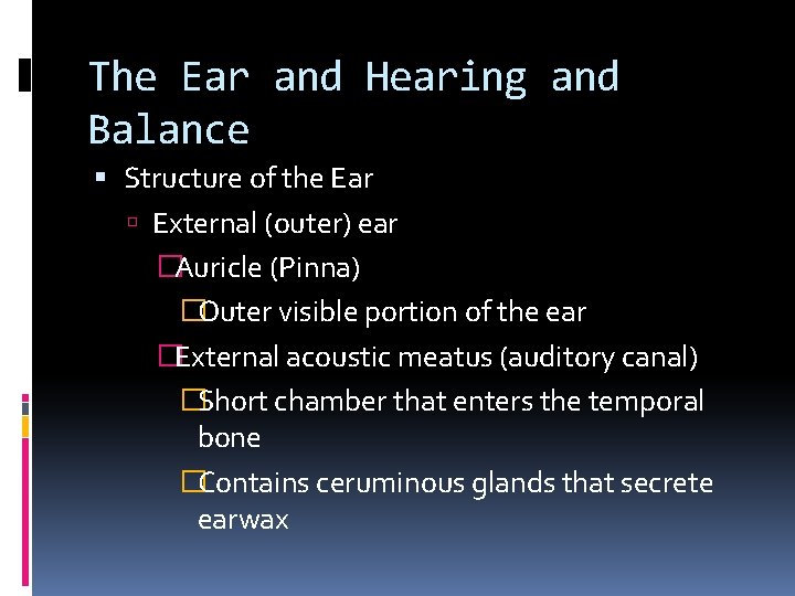 The Ear and Hearing and Balance Structure of the Ear External (outer) ear �Auricle