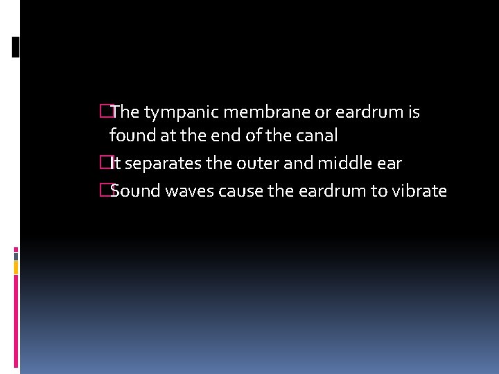 �The tympanic membrane or eardrum is found at the end of the canal �It