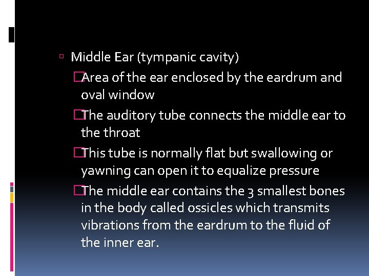  Middle Ear (tympanic cavity) �Area of the ear enclosed by the eardrum and