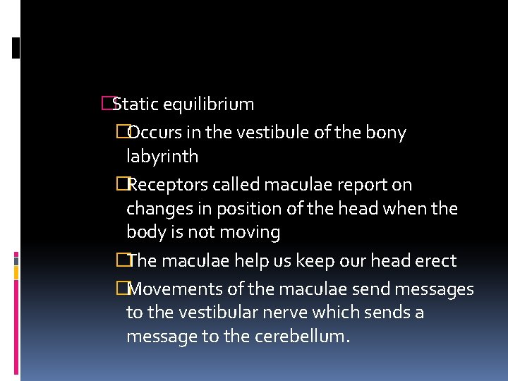�Static equilibrium �Occurs in the vestibule of the bony labyrinth �Receptors called maculae report