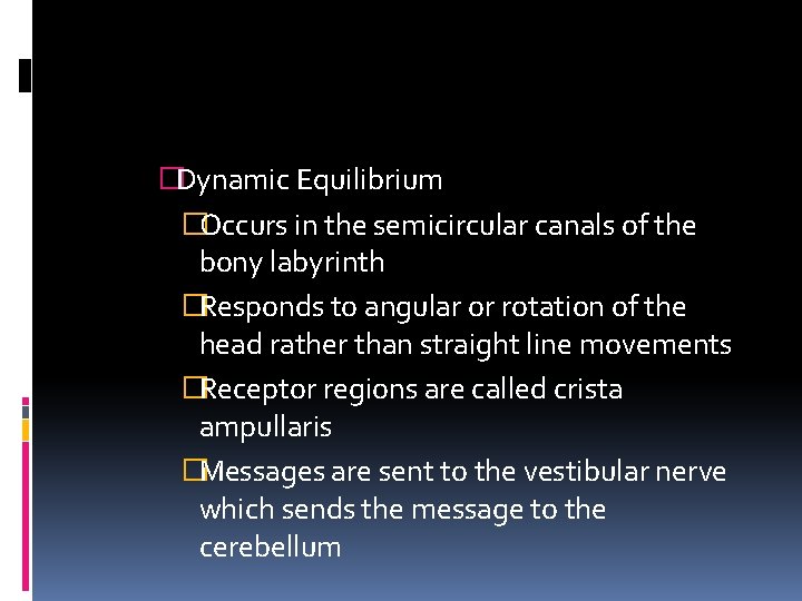 �Dynamic Equilibrium �Occurs in the semicircular canals of the bony labyrinth �Responds to angular