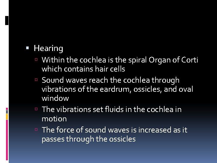  Hearing Within the cochlea is the spiral Organ of Corti which contains hair
