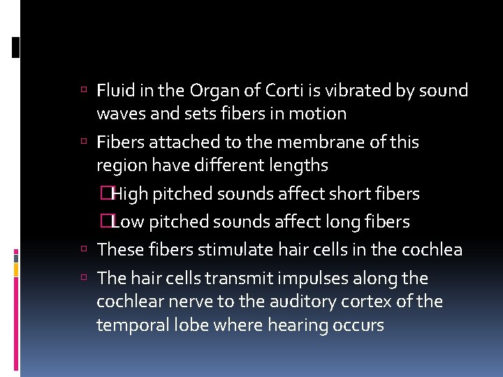  Fluid in the Organ of Corti is vibrated by sound waves and sets