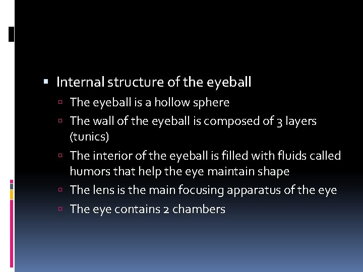 Internal structure of the eyeball The eyeball is a hollow sphere The wall