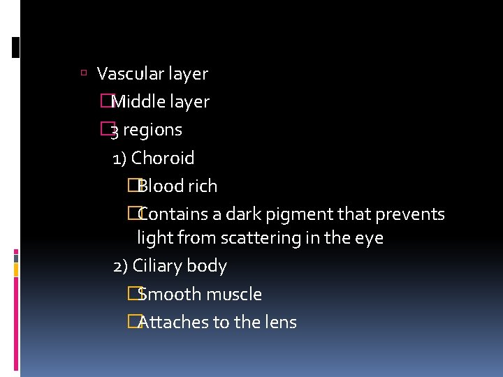  Vascular layer �Middle layer � 3 regions 1) Choroid �Blood rich �Contains a