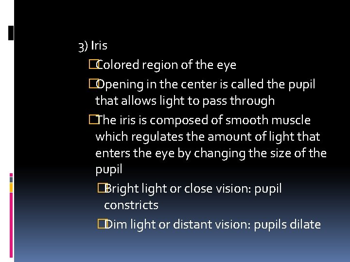 3) Iris �Colored region of the eye �Opening in the center is called the