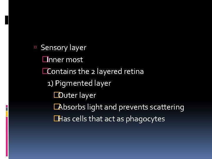  Sensory layer �Inner most �Contains the 2 layered retina 1) Pigmented layer �Outer