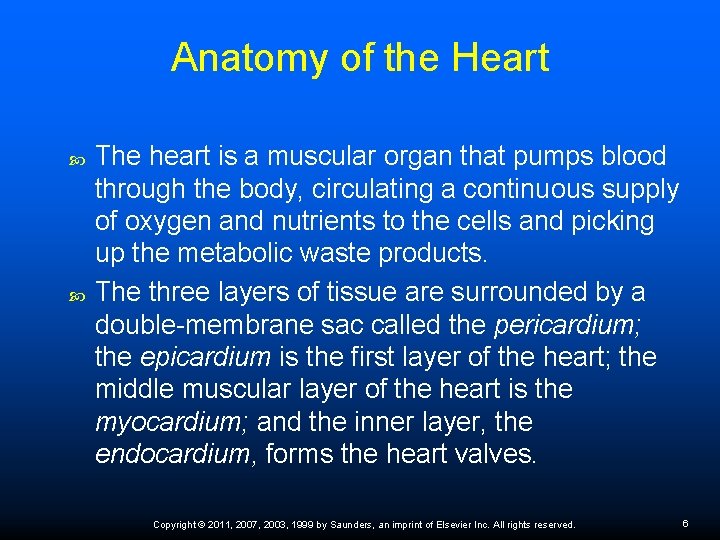 Anatomy of the Heart The heart is a muscular organ that pumps blood through