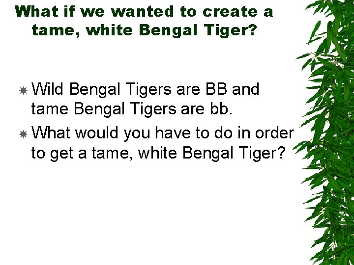 What if we wanted to create a tame, white Bengal Tiger? Wild Bengal Tigers