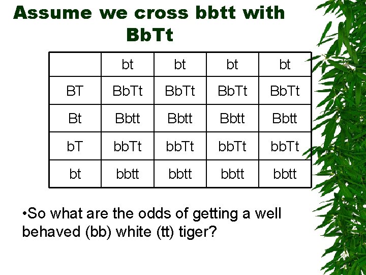 Assume we cross bbtt with Bb. Tt bt bt BT Bb. Tt Bt Bbtt