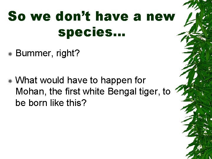 So we don’t have a new species… Bummer, right? What would have to happen