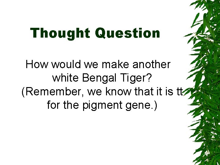 Thought Question How would we make another white Bengal Tiger? (Remember, we know that