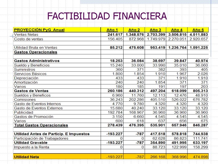 FACTIBILIDAD FINANCIERA 