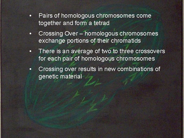  • Pairs of homologous chromosomes come together and form a tetrad • Crossing