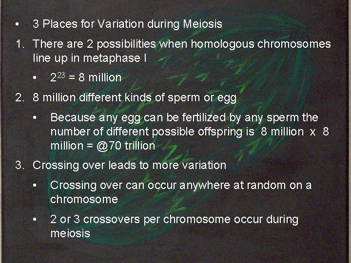  • 3 Places for Variation during Meiosis 1. There are 2 possibilities when
