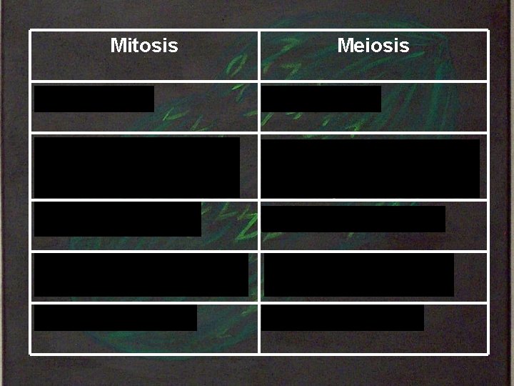Mitosis Meiosis Two new cells Four new cells New cells are genetically identical to