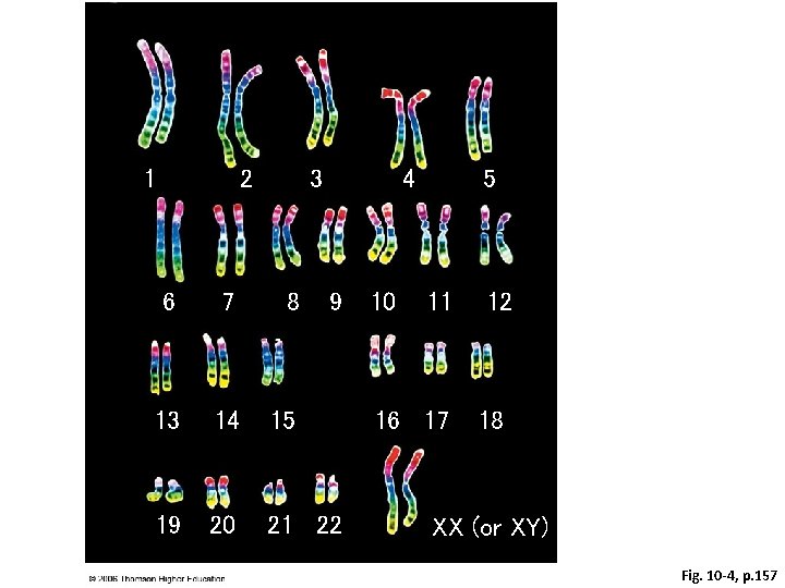 1 2 3 4 6 7 8 9 13 14 15 19 20 21