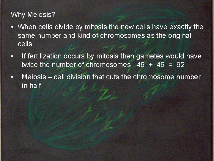 Why Meiosis? • When cells divide by mitosis the new cells have exactly the
