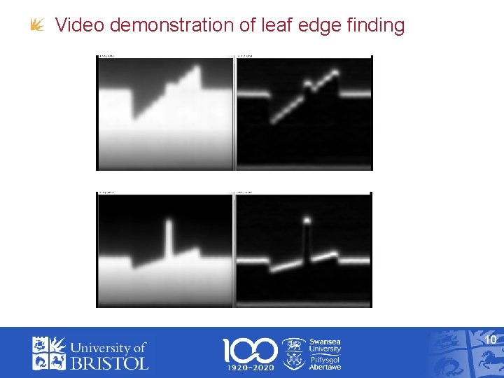 Video demonstration of leaf edge finding 10 
