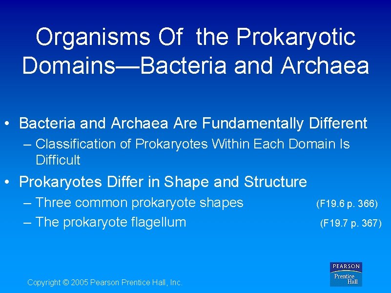 Organisms Of the Prokaryotic Domains—Bacteria and Archaea • Bacteria and Archaea Are Fundamentally Different