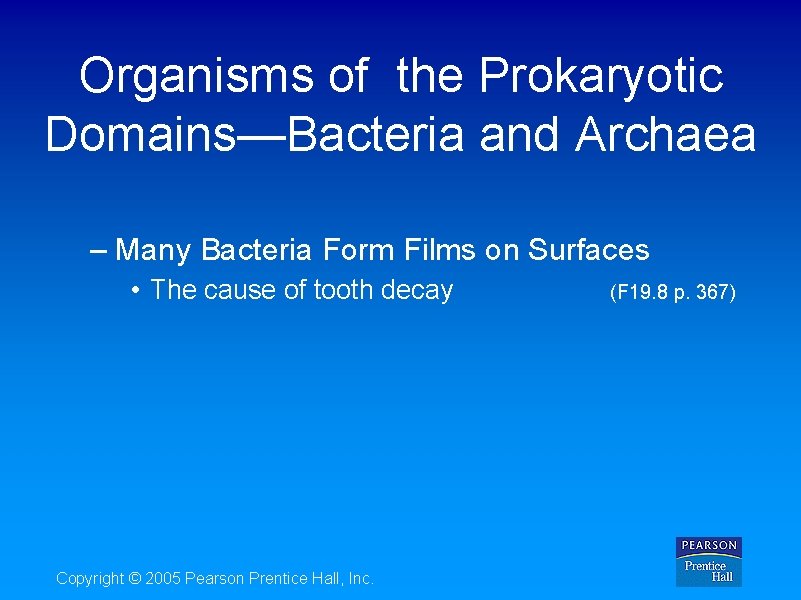 Organisms of the Prokaryotic Domains—Bacteria and Archaea – Many Bacteria Form Films on Surfaces