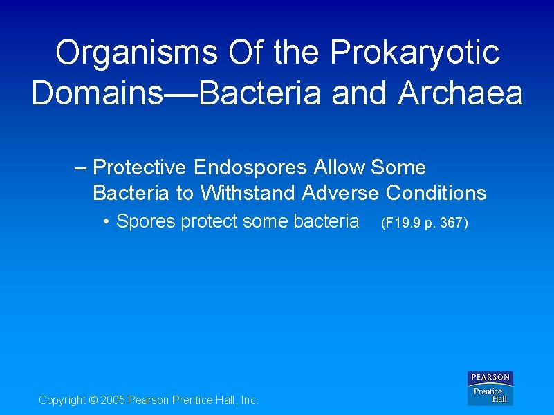 Organisms Of the Prokaryotic Domains—Bacteria and Archaea – Protective Endospores Allow Some Bacteria to