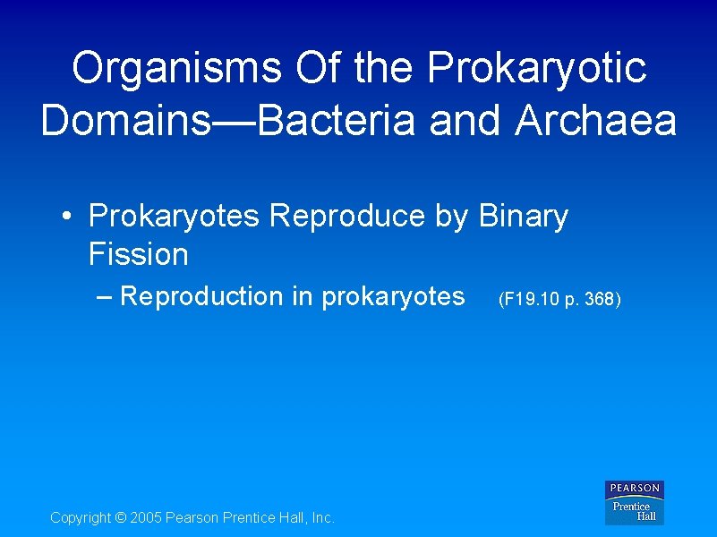 Organisms Of the Prokaryotic Domains—Bacteria and Archaea • Prokaryotes Reproduce by Binary Fission –