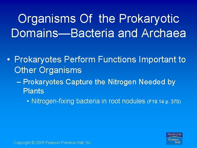 Organisms Of the Prokaryotic Domains—Bacteria and Archaea • Prokaryotes Perform Functions Important to Other