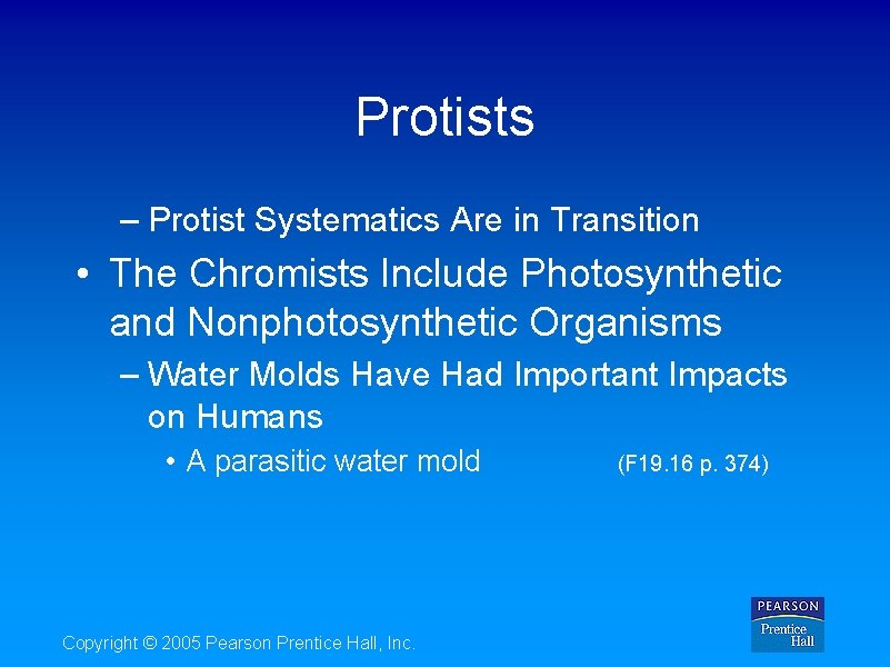 Protists – Protist Systematics Are in Transition • The Chromists Include Photosynthetic and Nonphotosynthetic