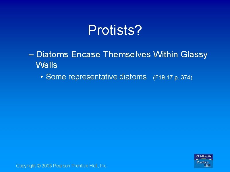 Protists? – Diatoms Encase Themselves Within Glassy Walls • Some representative diatoms Copyright ©