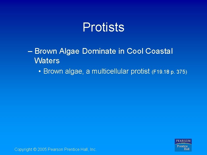 Protists – Brown Algae Dominate in Cool Coastal Waters • Brown algae, a multicellular