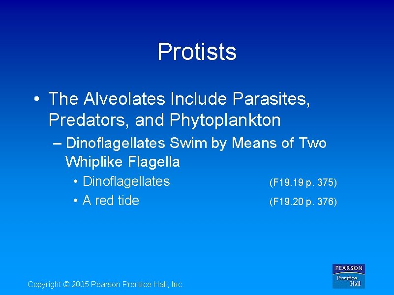 Protists • The Alveolates Include Parasites, Predators, and Phytoplankton – Dinoflagellates Swim by Means