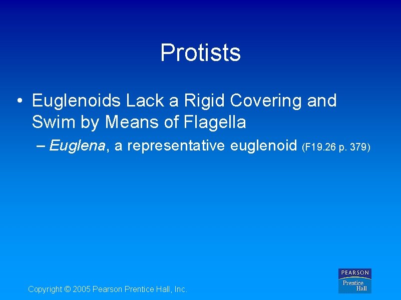 Protists • Euglenoids Lack a Rigid Covering and Swim by Means of Flagella –