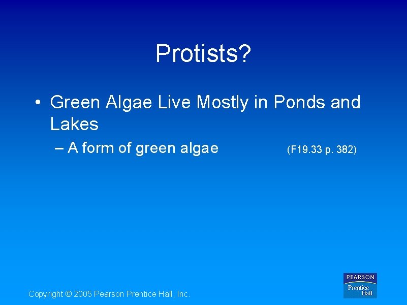 Protists? • Green Algae Live Mostly in Ponds and Lakes – A form of