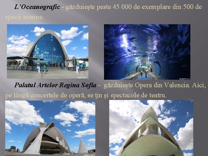 L’Oceanografic - găzduieşte peste 45 000 de exemplare din 500 de specii marine. Palatul