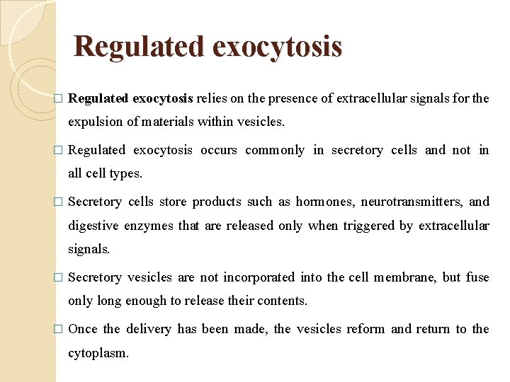 Regulated exocytosis � Regulated exocytosis relies on the presence of extracellular signals for the