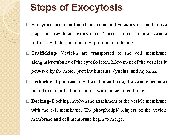 Steps of Exocytosis � Exocytosis occurs in four steps in constitutive exocytosis and in